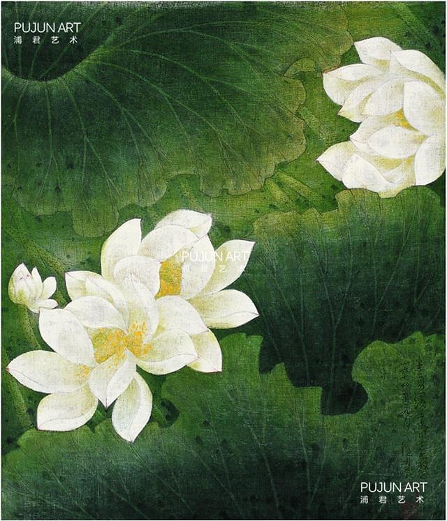 陈佩秋作品《白莲图》